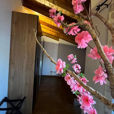 아파트 Deluxe Appartaments Black *